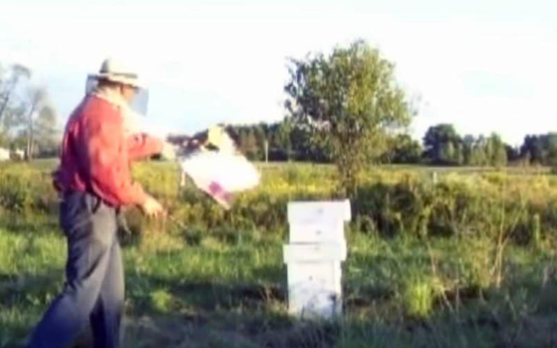 Un apiculteur s'éloigne en lançant un produit inflammable en direction de la colonie.