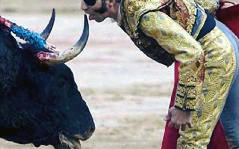 Un torero en costume traditionnel est face à la tête d'un taureau.
