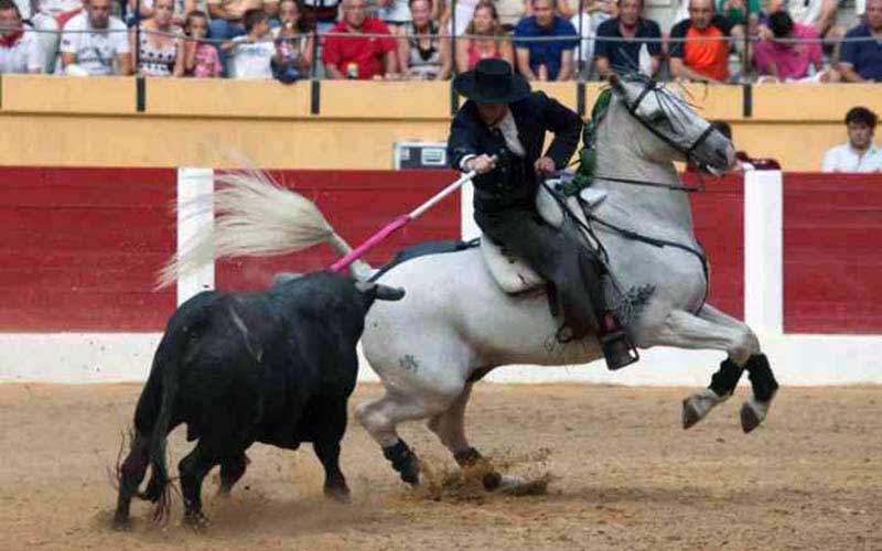 Un cavalier à cheval brandit une pique face à un taureau dans l'arène.