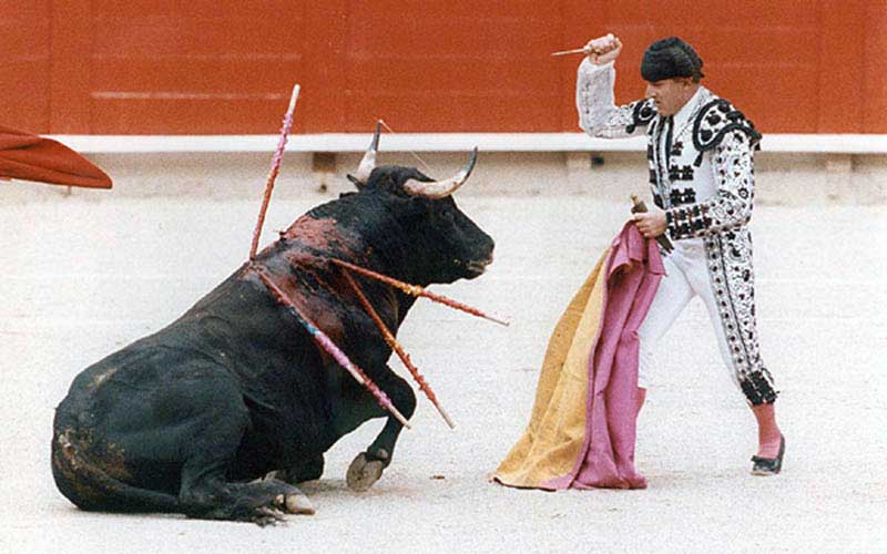 Un matador en habit de lumières blanc et noir s'apprête à donner le coup de grâce à un taureau couché dans l'arène, portant de multiples banderilles ensanglantées dans le dos.
