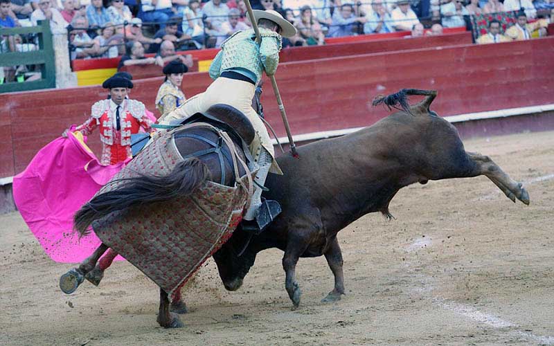 Un picador à cheval, portant un habit vert et or, pique un taureau qui se cabre et charge le cheval dans l'arène.
