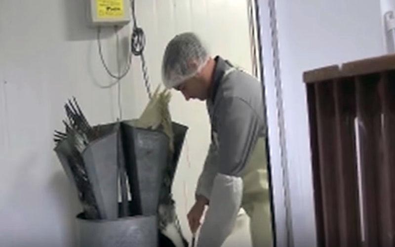 Vue de profil d'un employé gérant le processus de gavage des canards.