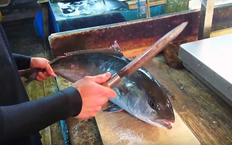 Une personne s'apprête à découper un poisson frais sur une planche à découper en bois.