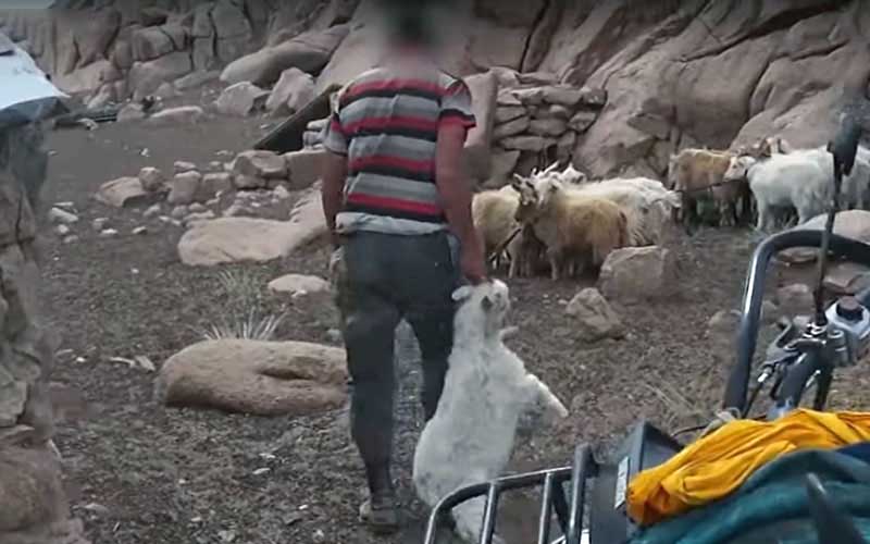 reality_goat_caption_09