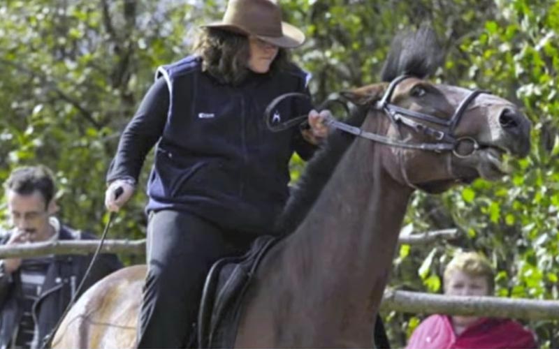 reality_horse_caption_08
