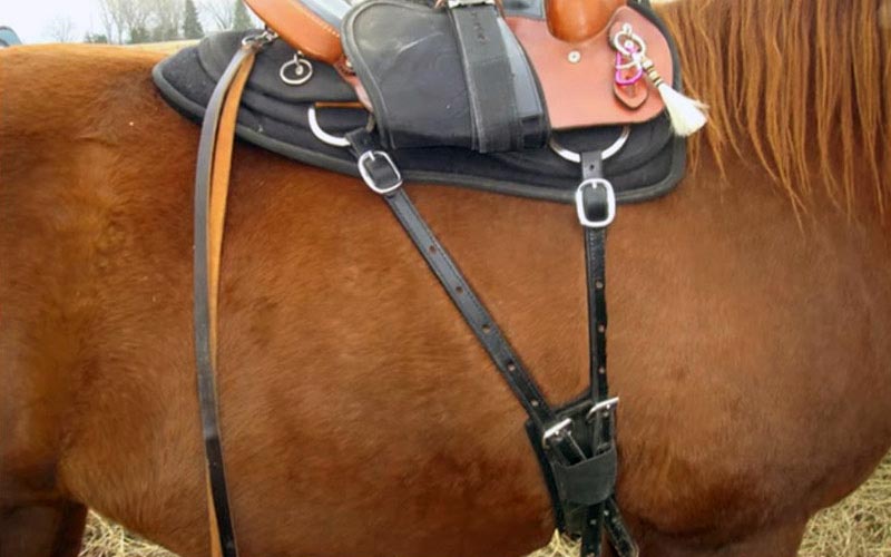 reality_horse_caption_10