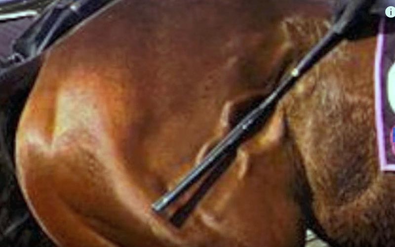 reality_horse_caption_15