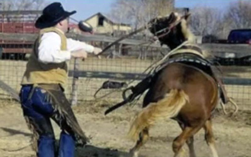 reality_horse_caption_16