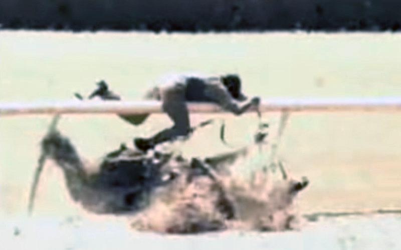 reality_horse_caption_20