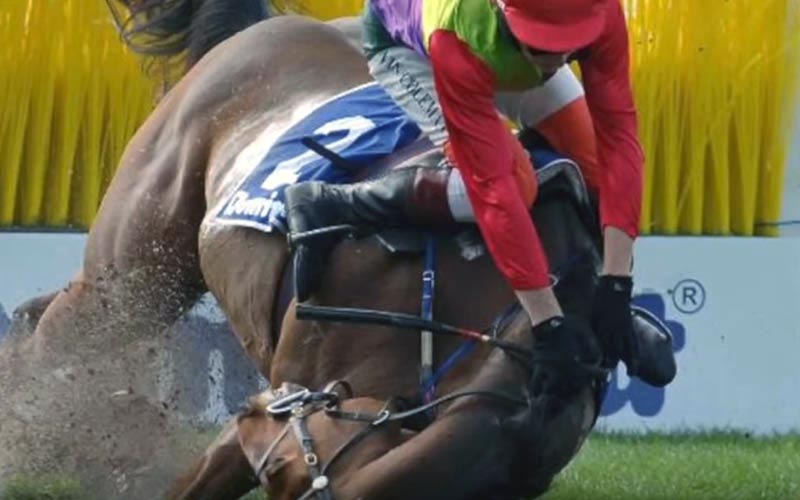 reality_horse_caption_35