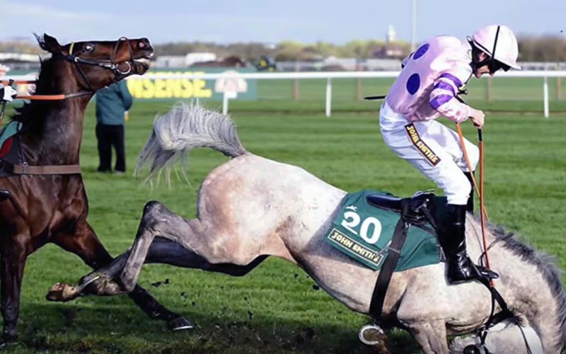 reality_horse_caption_36