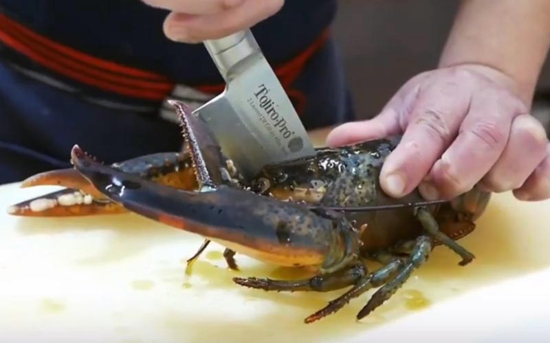 Une personne utilisant un couteau pour couper un homard vivant sur une planche à découper.