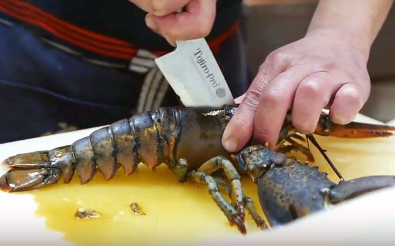 Un couteau coupant le long du corps d'un homard posé sur une surface blanche.