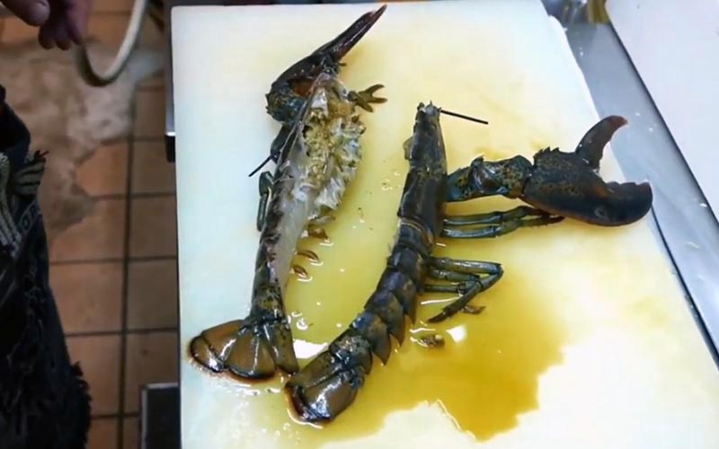 Un homard coupé en deux moitiés longitudinales exposant l'intérieur sur une planche.