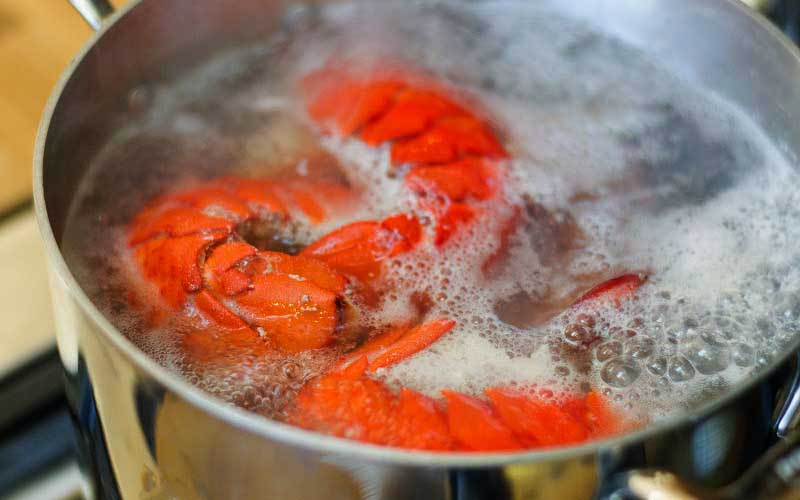 Des morceaux de homard cuisant dans une grande casserole d'eau bouillante frémissante.