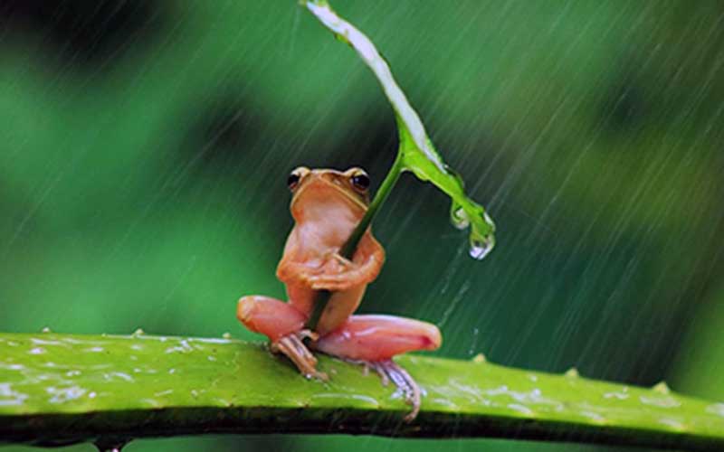 reality_photo_caption_04