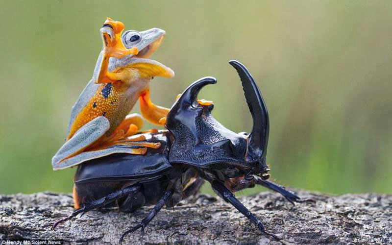 reality_photo_caption_06