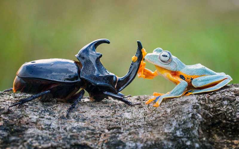 reality_photo_caption_07