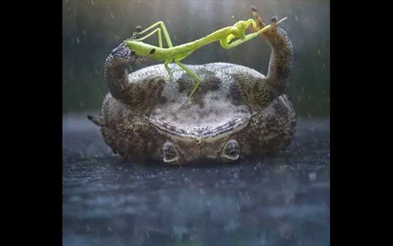 reality_photo_caption_11