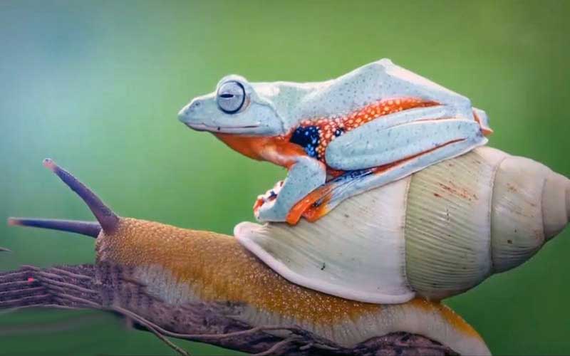 reality_photo_caption_13