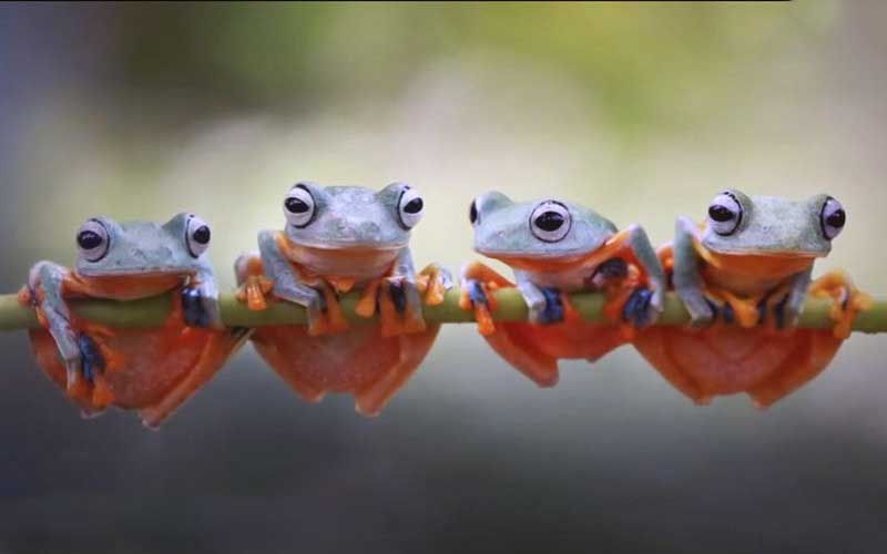 reality_photo_caption_15