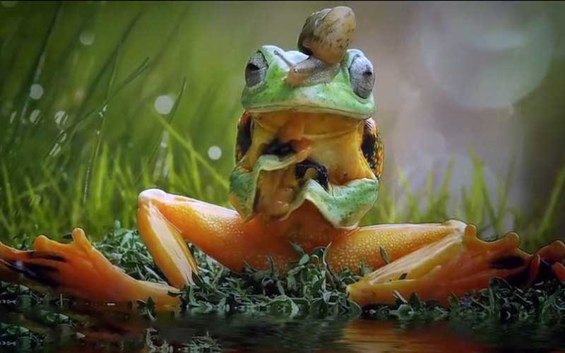 reality_photo_caption_16