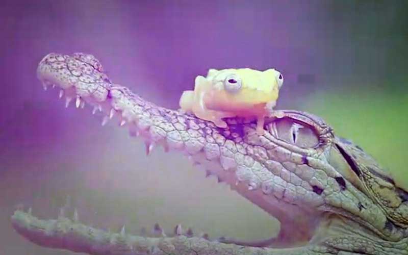 reality_photo_caption_17
