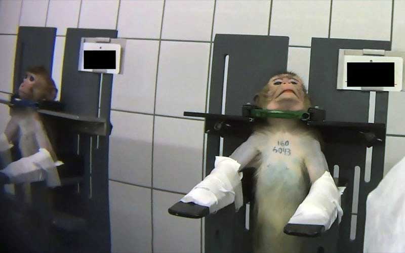 reality_test_caption_31