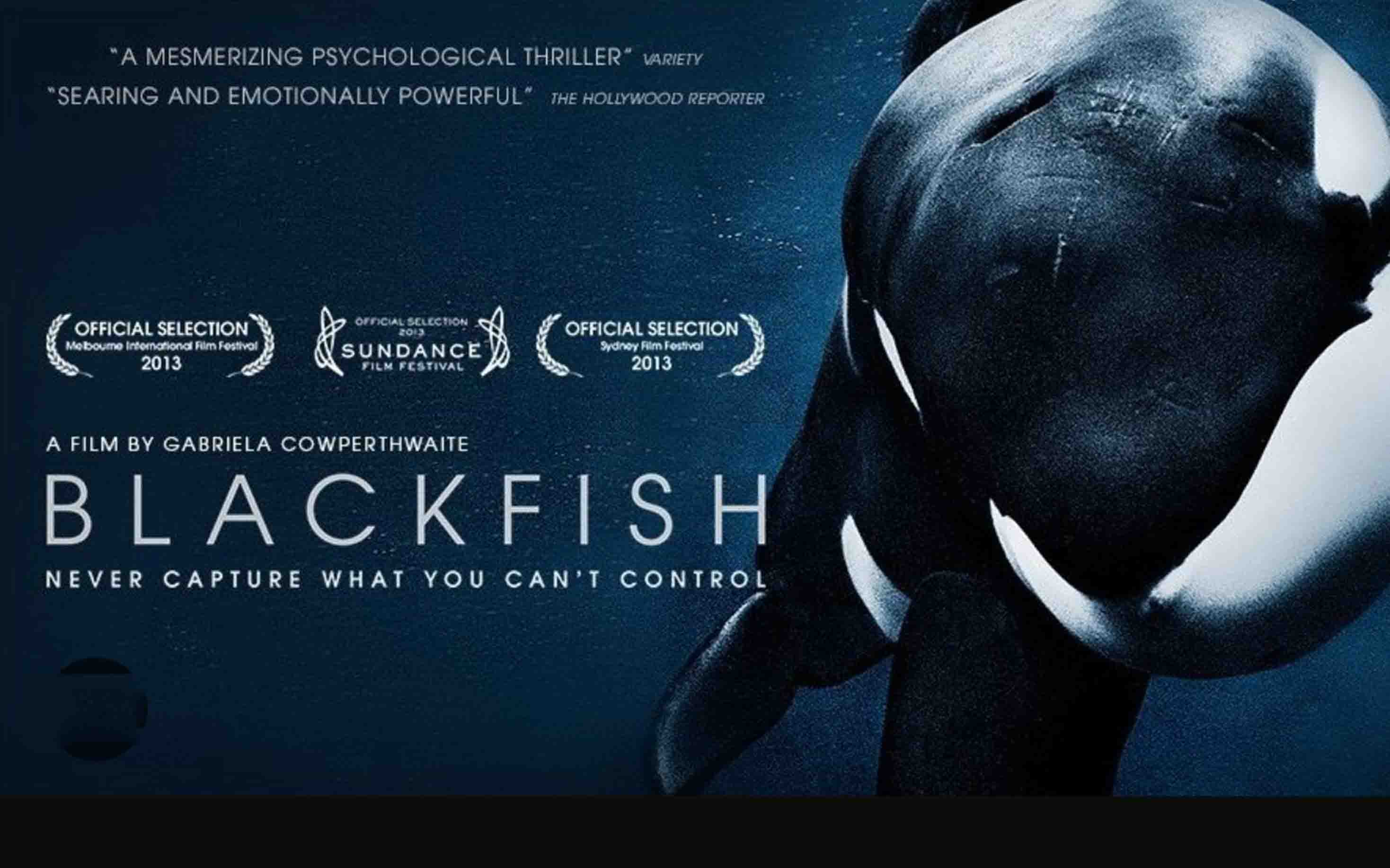 Blackfish : L'Orque Tueuse