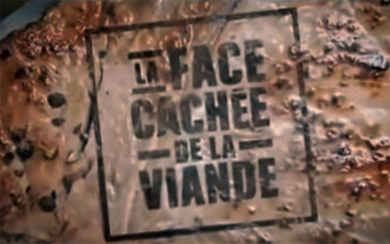 LA FACE CACHÉE DE LA VIANDE